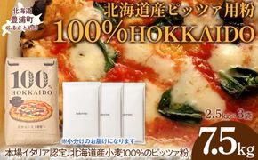 100% HOKKAIDO ピッツァ用粉 7.5kg TYUAI024