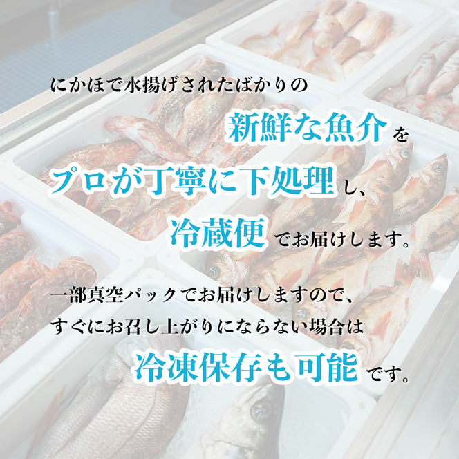 鮮魚 冷蔵 クール便「 開けたらすぐ食べられる下処理済み 海産物 4～5人前 セット 」佐藤鮮魚店【 パック 詰め合わせ 海鮮セット 鮮魚ボックス 海鮮 海の幸 魚介 魚介類 刺身 切り身  秋田県 にかほ 】