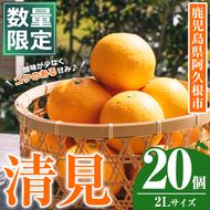 ＜先行予約受付中！2027年3月中旬以降順次発送予定＞数量限定！鹿児島県産 清見 (20個・2L) 柑橘 フルーツ 果物 国産 みかん 期間限定 きよみ キヨミ ミカン【株式会社土曜日】akn069-09