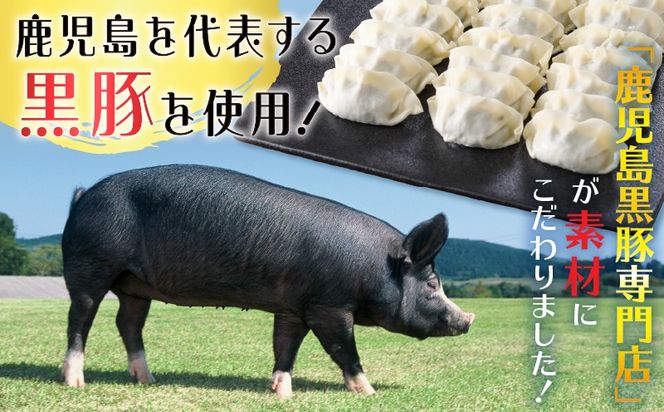 ＜選べる容量＞鹿児島黒豚博多一口シソ餃子　K025-010