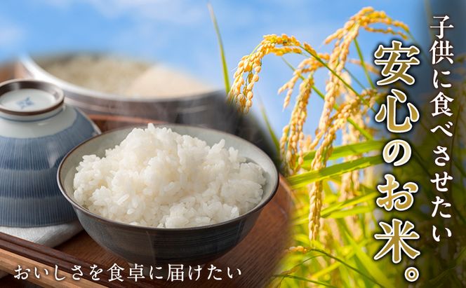 先行予約 令和8年度産 ミルキークイーン さかたのお米 日進市産 1kg お米 白米 ライス 精米 ご飯 おにぎり お弁当 和食 もっちり 粘り 強い 甘み 旨み