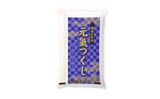 令和7年産　福岡県　元気つくし　5kg　《築上町》【カネガエ】[ABFA004]
