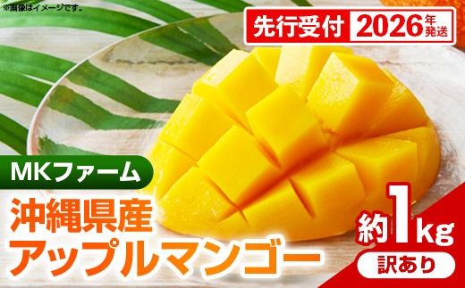 【先行受付】【2026年発送】MKファームの訳ありアップルマンゴー約1kg【訳あり】- 訳アリ 先行予約 家庭用 ご自宅用 沖縄県産 産地直送 南国フルーツ 旬の味覚 アップルマンゴー オススメ 沖縄県 八重瀬町
