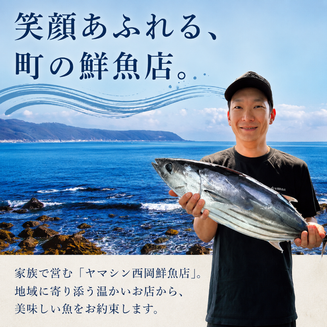 本マグロ 中トロ 400g まぐろ マグロ刺身 マグロ たたき マグロ丼 鮪 マグロ漬け丼の具 冷凍 鮪 マグロ ネギトロ丼 マグロ まぐろ ブロック 赤身 天然 スライス刺し身 さしみ 魚介 海鮮 海鮮丼 おかず 惣菜 冷凍 お取り寄せ 冷凍 高知県 安芸市 おいしい 簡単 時短 海の幸 生鮮