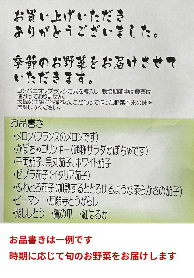 159-2024-02　【冷蔵便】季節のこだわり野菜セット 野菜詰め合わせ（春野菜 夏野菜 ハーブ など）