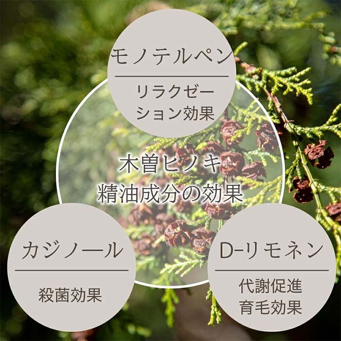meet tree ヒノキおが粉まくら 枕 まくら ピロー 寝具 ヒノキ ふるさと納税 ギフト 自然 ひのき 桧 おが粉 香 プレゼント 木のかおり F4N-2729