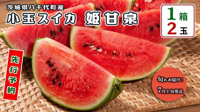 【 先行予約 2026年7月上旬以降発送開始】 八千代町産 小玉スイカ 姫甘泉 1箱 （2玉入り） すいか スイカ 西瓜 小玉 果物 フルーツ お取り寄せ 産地直送 茨城県 [AV011ya]