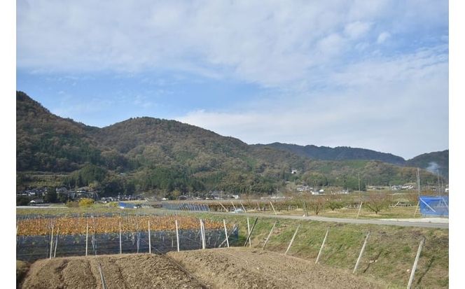 【期間限定】蟠桃のリキュール＆果実ジャムセット (岡山県産)【KF-S003-02】