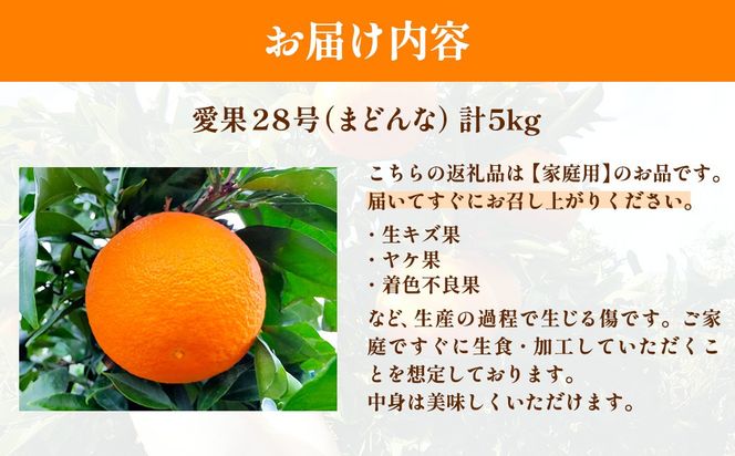 【先行予約】【数量限定】浅野農園の愛果28号（まどんな）家庭用計5kg※離島への配送不可（2026年12月中旬～2027年1月中旬頃に順次発送予定）IKTAC025