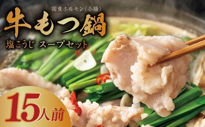 015B570 牛もつ鍋セット 15人前【国産 牛肉 ホルモン 塩こうじ スープ付き モツ 鍋 高評価 冷凍 鍋セット 簡単調理】