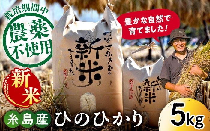 [ 令和6年産新米]糸島産 雷山 のふもと 栽培期間中 農薬 不使用の米 5kg ひのひかり ヒノヒカリ 糸島市 /ツバサファーム 