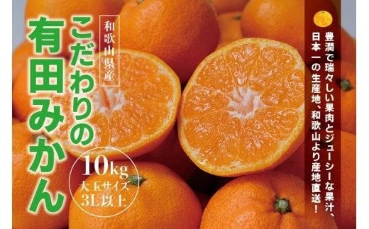 【農家直送】有田みかん　約10kg 大玉3L以上　有機質肥料100%　※2024年12月初旬～1月中旬に順次発送(お届け日指定不可)/ミカン 蜜柑 柑橘 フルーツ くだもの 果物 早生 温州 有田 【nuk139D】