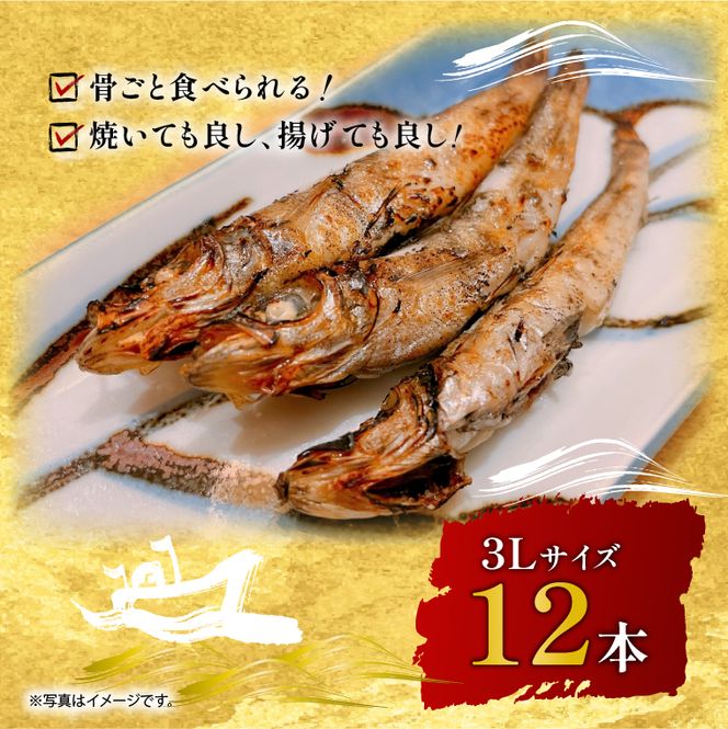 丸干し３Lめひかり(12本)【めひかり メヒカリ 3L 魚 海産物 茨城県 北茨城市 冷凍】（DM002）