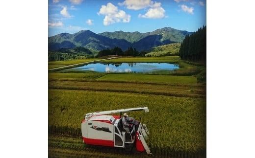 【令和7年産米】【定期便：12ヶ月連続でお届け】新潟県村上市岩船産 棚田米コシヒカリのパックごはん(150g×20個)×12ヶ月 1067140