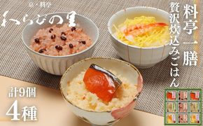 【わらびの里】料亭一膳(4種)［ 京都 料亭 京料理 懐石 人気 おすすめ 炊込みご飯 赤飯 おこわ お取り寄せ 通販 送料無料 ふるさと納税 ］ 261009_B-XN07