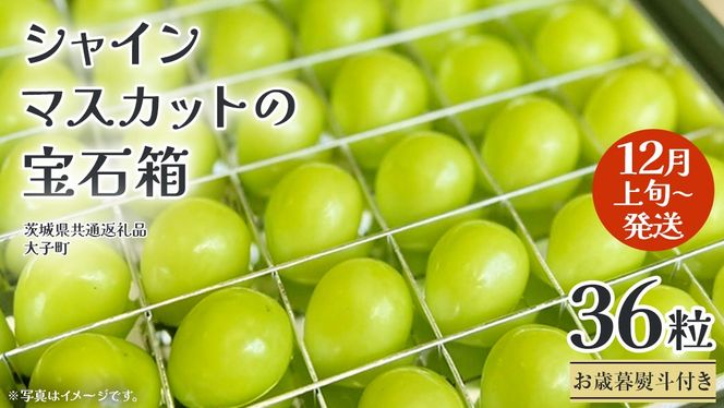 y錧vszy Ε lt z VC}XJbg ̕Δ 36 y2025N12{Jnz(錧ʕԗiFq) Ԃǂ  t[c ʕ p Mtg 蕨