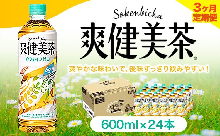 3ヶ月定期便★ 爽健美茶 600ml×24本 コカ・コーラボトラーズジャパン(株)[お申込み月翌月から出荷開始]和歌山県 紀の川市 お茶 茶 ハトムギ 玄米 月見草---wsk_coctei6_25_43500_mo3num1---