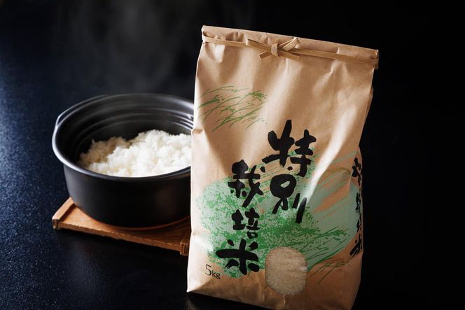 料理旅館きぐすりや　令和7年産 　特別栽培米キヌヒカリ 5kg
