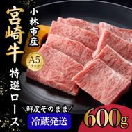 【新鮮チルド発送!!】A5等級宮崎牛特選ロース焼肉 600g（黒毛和牛 牛肉 宮崎牛 ロース 霜降り 赤身 焼肉用 宮崎県）