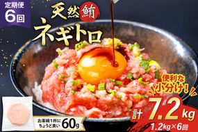 6回 定期便 天然 マグロ ネギトロ まぐろたたき 冷凍 60g 20個 計1.2kg [トライ産業 静岡県 吉田町 22424396] 小分け 個包装 まぐろのたたき 鮪 まぐろ ネギトロ丼 ねぎとろ マグロたたき