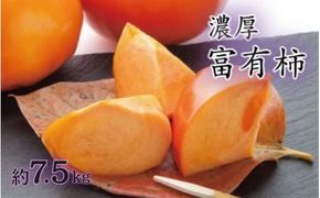 【秋の美味】【和歌山ブランド】濃厚！富有柿　秀品　L～３Ｌサイズ　約7.5kg入り【ard014E】