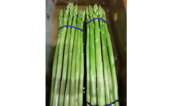 令和8年産　はなまる農園の乳酸菌入りアスパラ【さぬきのめざめ1kg】М～L アスパラガス 野菜 野菜セット 