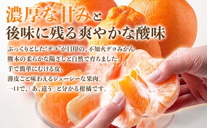 【先行予約】 【訳あり】 不知火 デコみかん 約5kg しらぬい みかん 柑橘 くだもの 果物 フルーツ 旬 熊本県 八代市 【2027年1月中旬より順次発送】