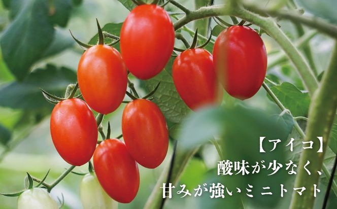 【期間限定（３～７月）】赤坂とまとの完熟セット　DE-1