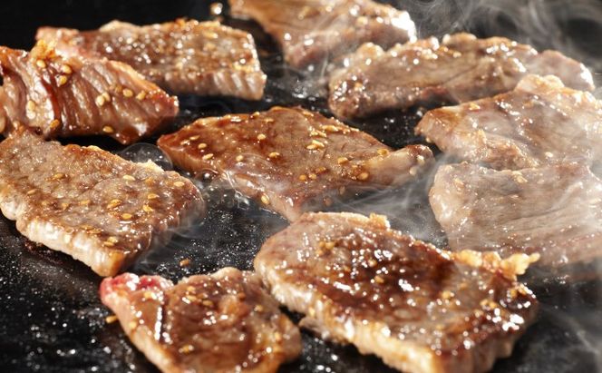 井上牧場 朝倉和牛　BBQセット ※配送不可：離島 お肉 牛肉 焼肉 バーベキュー ステーキ 