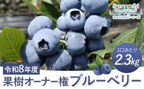 令和8年度果樹オーナー権(ブルーベリー）---sanagouchi_sko_6_1k---