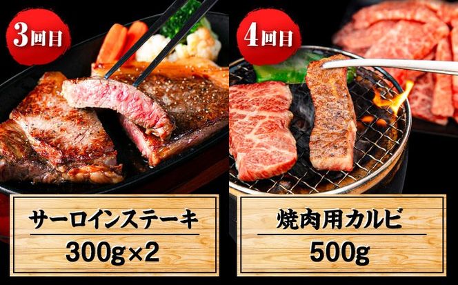 【全6回定期便】 博多和牛が 毎月2人前 届く！ 月替わり お楽しみ 定期便 （ハンバーグ / 肩ロース スライス / サーロイン ステーキ / カルビ / モモブロック / ヒレ ステーキ）  糸島市 / 幸栄物産 牛肉 セット 焼肉 すき焼き[ABH049]