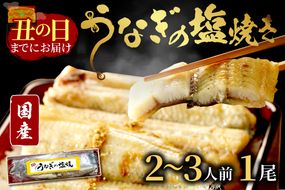 【土用の丑の日までに届く！】"新月の塩"使用　うなぎの塩焼き2～3人前(1尾) ふるさと納税 鰻  国産 ウナギ 塩焼き うな丼 うな重 惣菜 京都 ギフト 贈り物 お祝い　AN00098