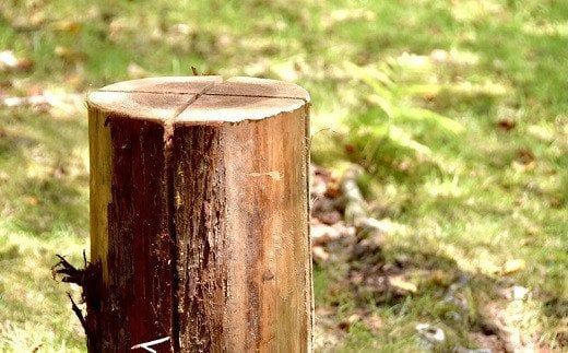 【1-251】お洒落な焚火　スウェーデントーチ（大） アウトドア　キャンプ