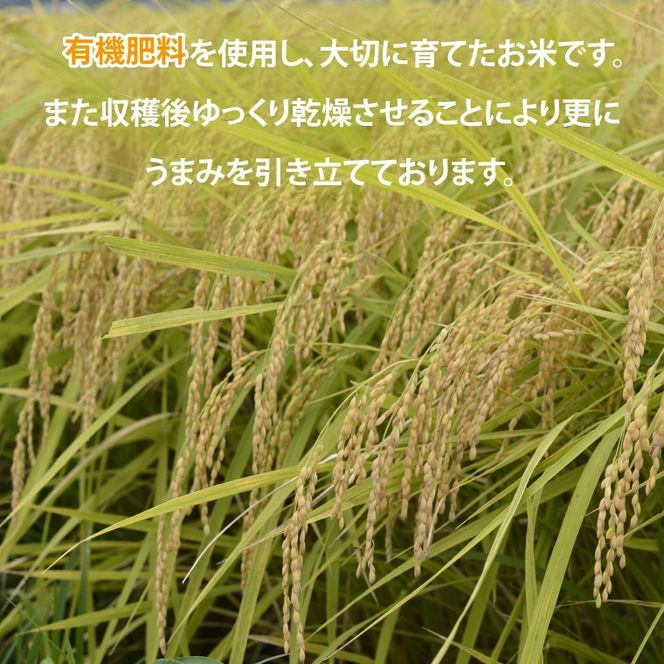 ＼令和7年産／【数量限定】あい　farm　やなぎのお米　令和7年産 コシヒカリ 玄米 5kg | 栃木県 益子町 ふるさと納税 お米 米 5kg 玄米 (DQ009)