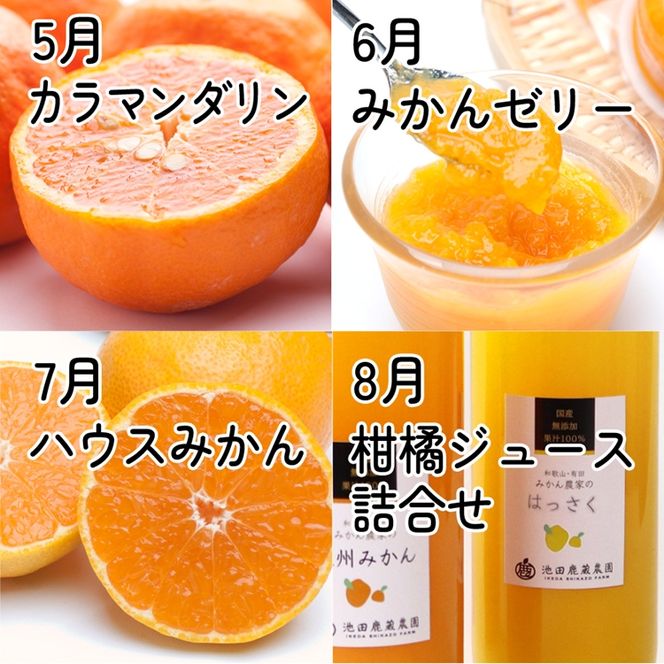 【定期便】家庭用 柑橘定期便 S 12回（毎月）※北海道・沖縄・離島への配送不可※毎月発送