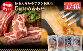 もちぶた 加工品 5種 詰め合わせ セット モモ 肩ロース 味噌漬け 塩糀漬け120g 3パック スペアリブ 300g 和豚 もち豚 豚肉 ポーク お肉 肉 豚 ぶた ブタ ロース もも肉 精肉 加工肉 アウトドア スペシャルキャンペーン 