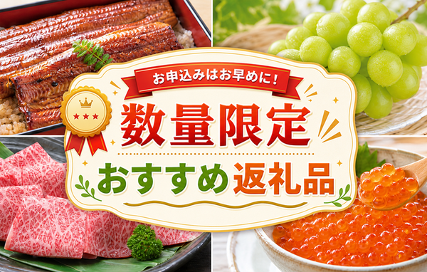 数量限定特集