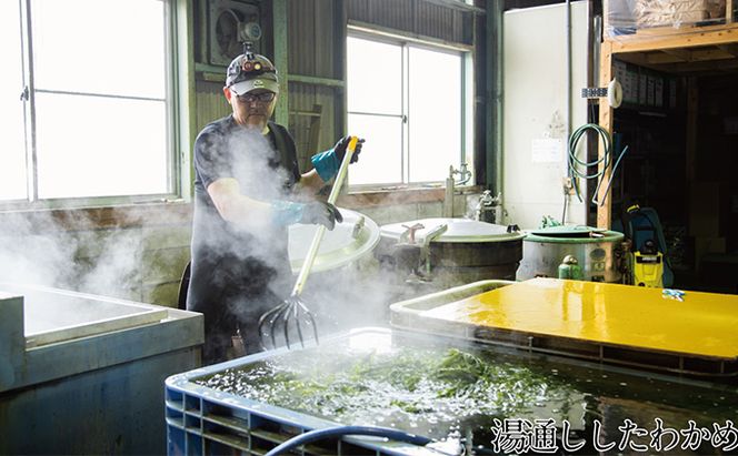 湯通し塩蔵 瀬戸内 わかめ 500g×3袋【岡山 瀬戸内海 天然 塩蔵】 無添加 無着色 健康 味噌汁 炊き込み サラダ 
