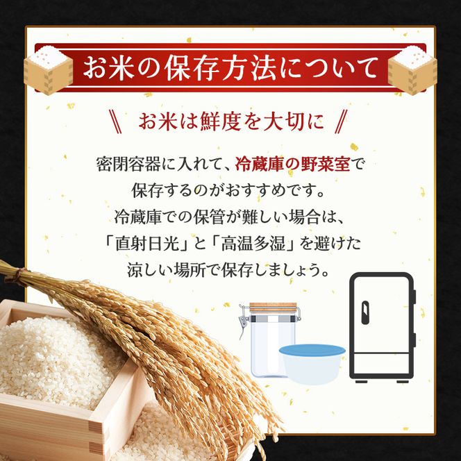 6ヵ月 定期便 (無洗米10kg)ホクレンゆめぴりか(無洗米5kg×2袋) お米 白米 ごはん ご飯 ライス 和食 炭水化物 主食 おにぎり お弁当  [JA新おたる] 