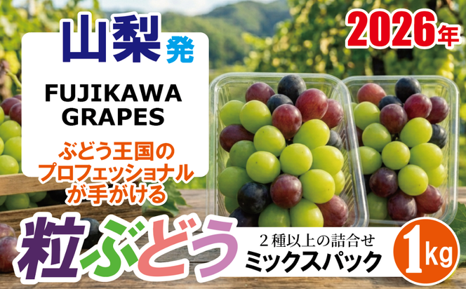 手軽に楽しむ《徳用・粒ぶどう》 【ミックス（２種以上）】 1.0kg（パック包装） 【2026年発送分 先行予約】- FUJIKAWA GRAPES -