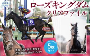 【ローズキングダム】クリアファイル 写真5枚入り BRTV255