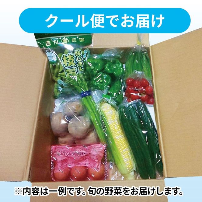 野菜 詰め合わせ 産地 直送 6 ~ 8種 減農薬 栽培 旬 採れたて やさい お試し 一人暮らし ふたり人暮し 健康 食材 ハーフセット 静岡県 藤枝市