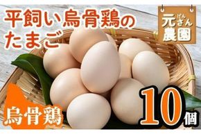 平飼い烏骨鶏のたまご (計10個) 元さん農園 卵 玉子 卵かけご飯 玉子焼き 平飼い 鶏 鶏卵 養鶏場直送 朝採れ 新鮮 大分県 佐伯市 【GE003】【 (株)海九】