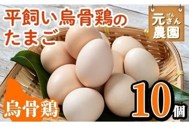 平飼い烏骨鶏のたまご (計10個) 元さん農園 卵 玉子 卵かけご飯 玉子焼き 平飼い 鶏 鶏卵 養鶏場直送 朝採れ 新鮮 大分県 佐伯市 【GE003】【 (株)海九】