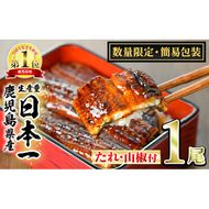 【0064323a】＜数量限定・宅配袋発送＞東串良町のうなぎ蒲焼(無頭)(1尾・約150g・タレ、山椒付) うなぎ 高級 ウナギ 鰻 国産 蒲焼 蒲焼き たれ 鹿児島 ふるさと お試し 【アクアおおすみ】