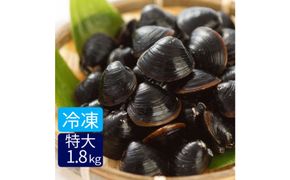 たっぷりエキスの特大しじみ！島根県宍道湖産大和しじみ砂抜き済み 322032_FK001