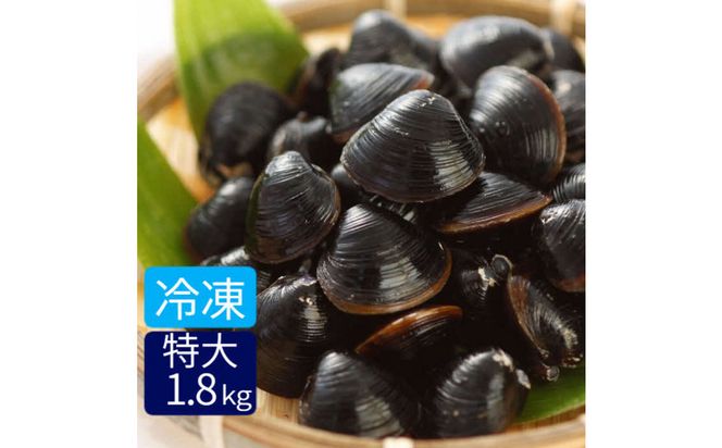 たっぷりエキスの特大しじみ！島根県宍道湖産大和しじみ砂抜き済み 322032_FK001