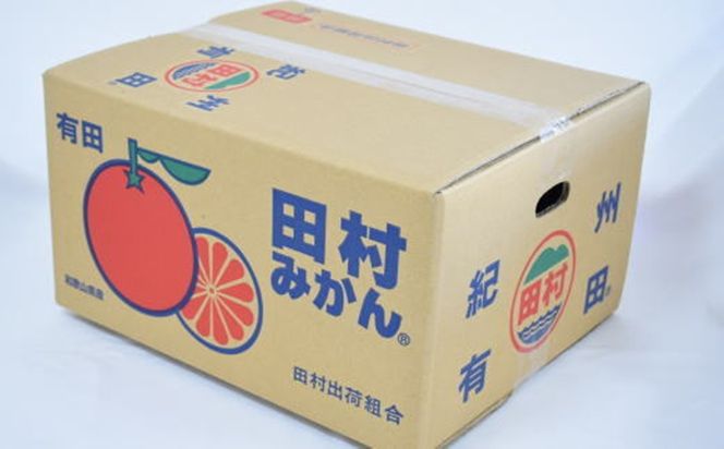 【有田のブランドみかん】田村みかん 大玉 約9kg (2Lサイズ)