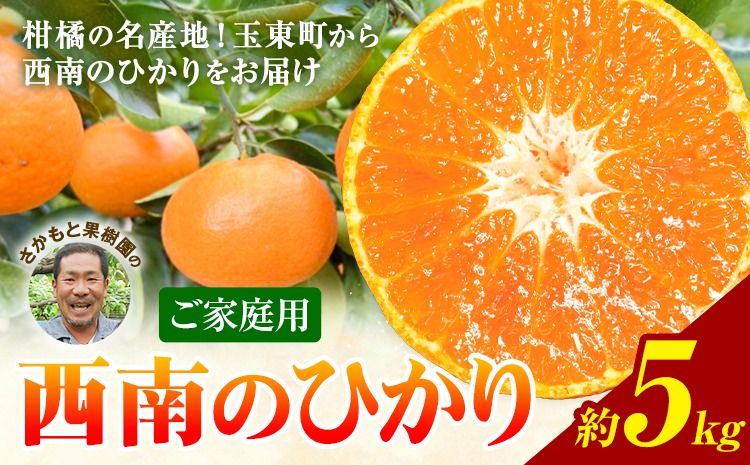 西南のひかり 約5kg さかもと果樹園[12月中旬-12月末頃出荷]熊本県 玉名郡 玉東町 みかん 柑橘 フルーツ 果物 ご家庭用 サイズミックス---gkt_skm_6_5kg---