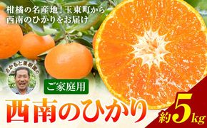 西南のひかり 約5kg さかもと果樹園《12月中旬-12月末頃出荷》熊本県 玉名郡 玉東町 みかん 柑橘 フルーツ 果物 ご家庭用 サイズミックス---gkt_skm_6_5kg---